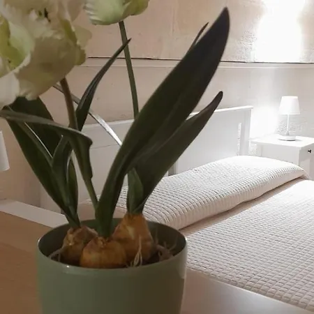 Ristel Casa Διαμέρισμα