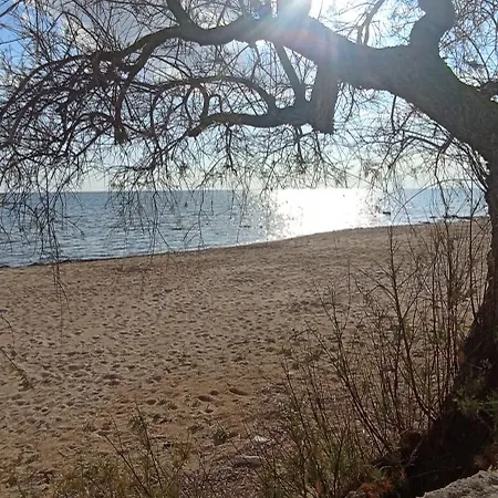 Apartment Ristel Casa